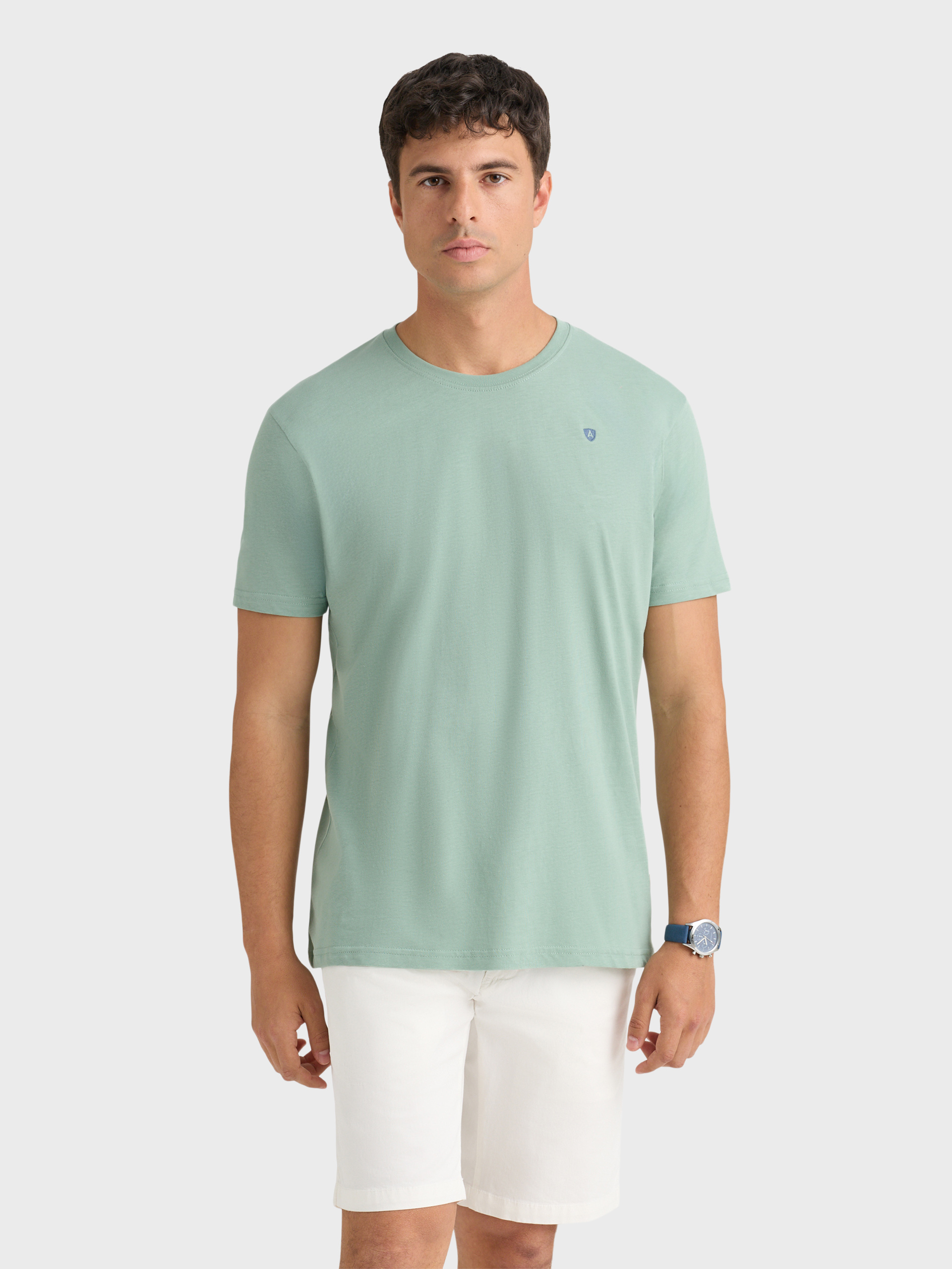 CAMISETA TRENDY VERDE
